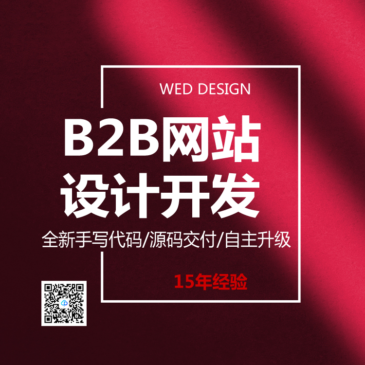 B2B平台网站设计开发13923486325