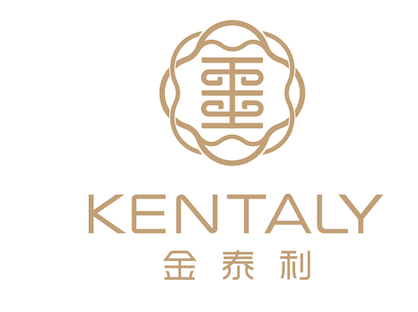 外贸独立站,企业出海官网,深圳网站建设,B2B独立站开发,高端网站定制,品牌出海建站